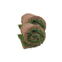 Рулонные газоны