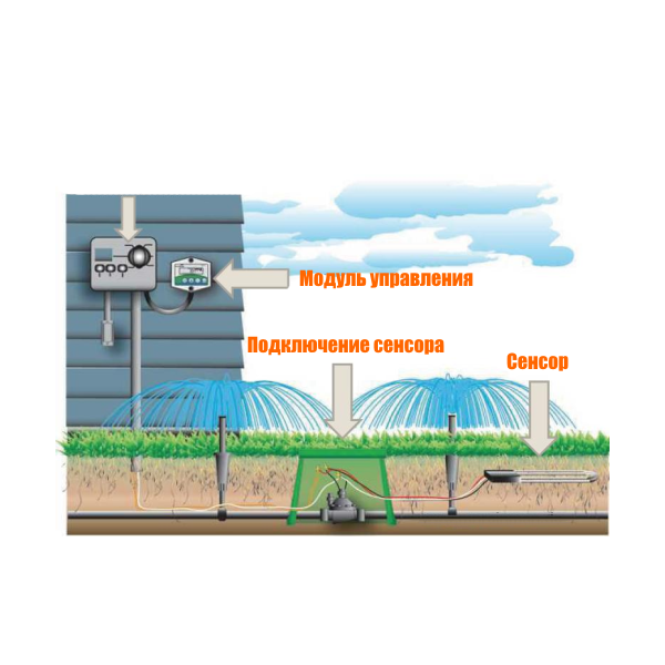 Датчик влажности и температуры почвы RAIN BIRD SMRT-Y, изображение 4