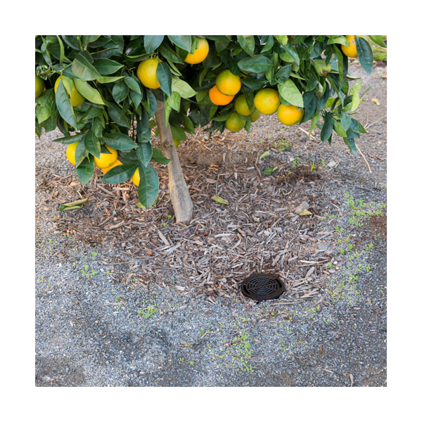 Корневой полив HUNTER RZWS-10-25, 0,9 л/минуту, для кустарников, изображение 5